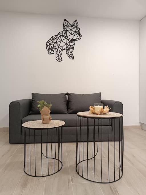 Casa El Papamoscas Apartment Burgos Luaran gambar